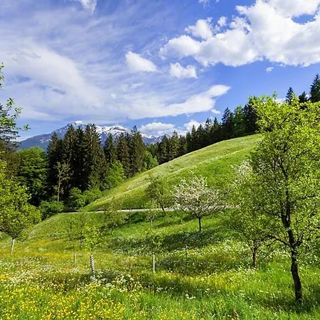 Scheuerbichl Farm stay *
