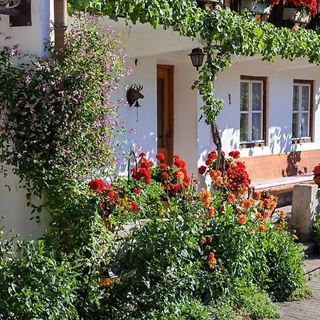 Farm stay Scheuerbichl *