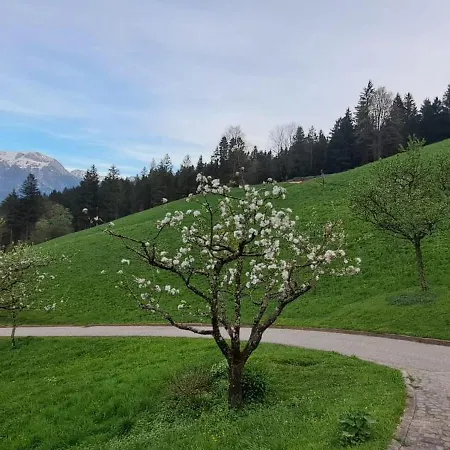 Scheuerbichl *