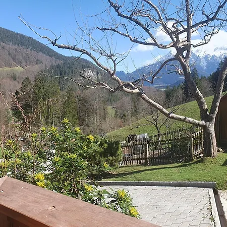 Scheuerbichl Farm stay *